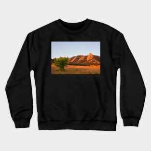 The Flatirons Boulder Colorado from Chautauqua Park Tree Crewneck Sweatshirt